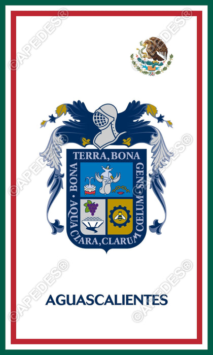 Aguascalientes City Mexico Decal Sticker 3x5 inches