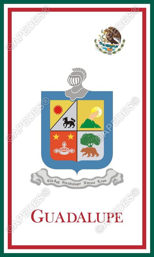 Guadalupe City Mexico Decal Sticker 3x5 inches