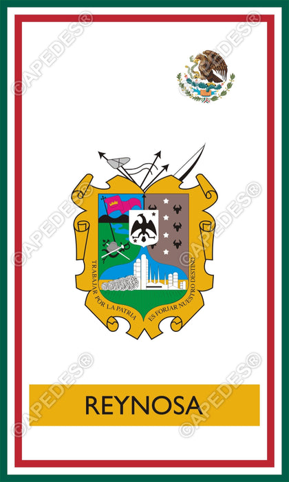 Reynosa City Mexico Decal Sticker 3x5 inches