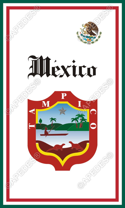 Tampico City Mexico Decal Sticker 3x5 inches
