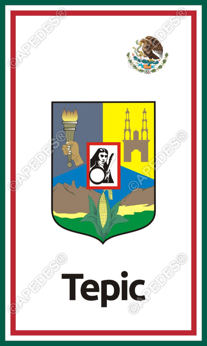 Tepic City Mexico Decal Sticker 3x5 inches