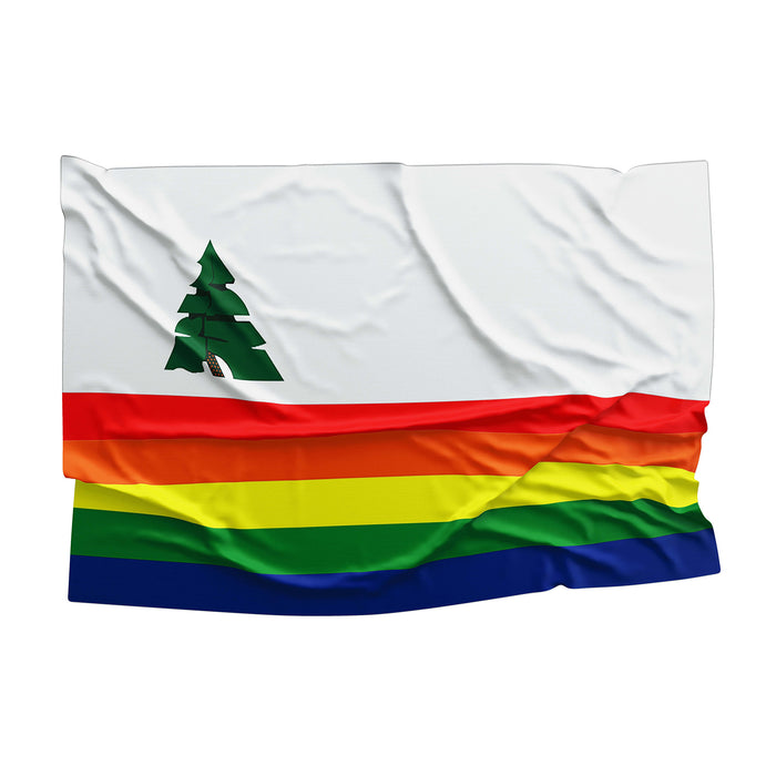 Santa Cruz County California State USA United States of America Flag Banner