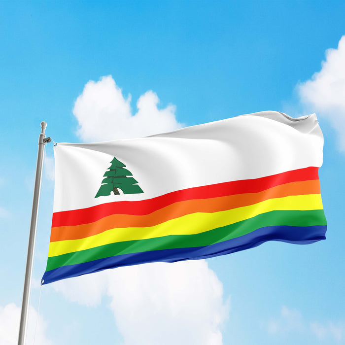 Santa Cruz County California State USA United States of America Flag Banner
