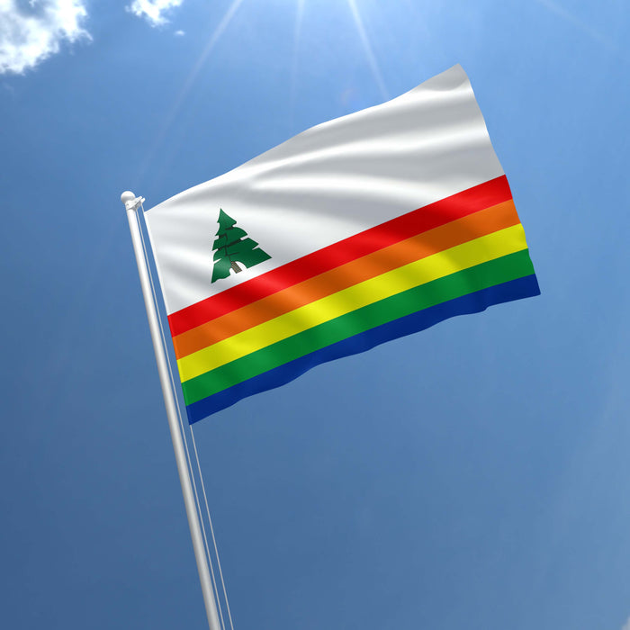 Santa Cruz County California State USA United States of America Flag Banner
