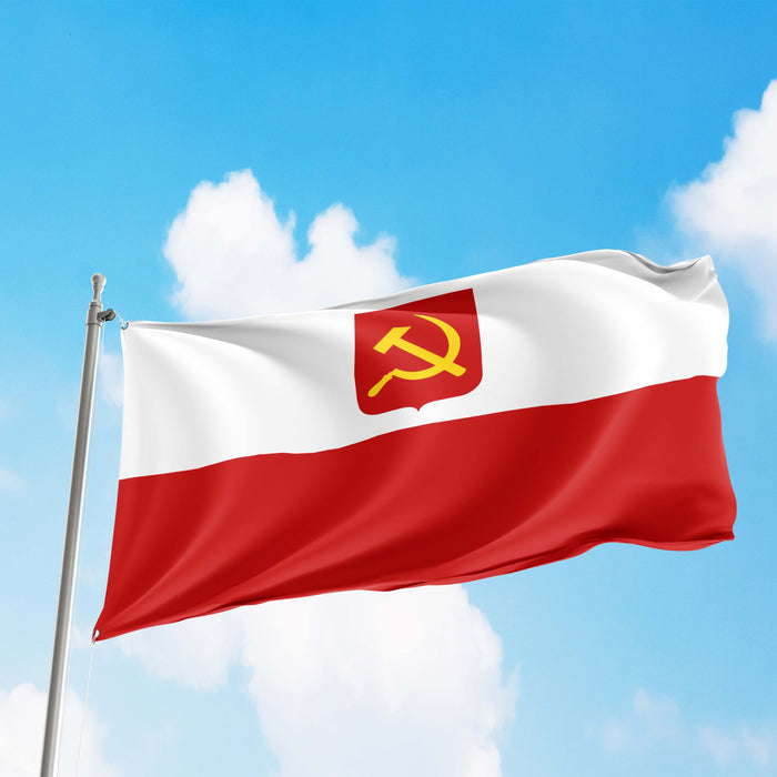 Polish Socialist Party Political Poland Polska Partia Socjalistyczna PPS Flag Banner