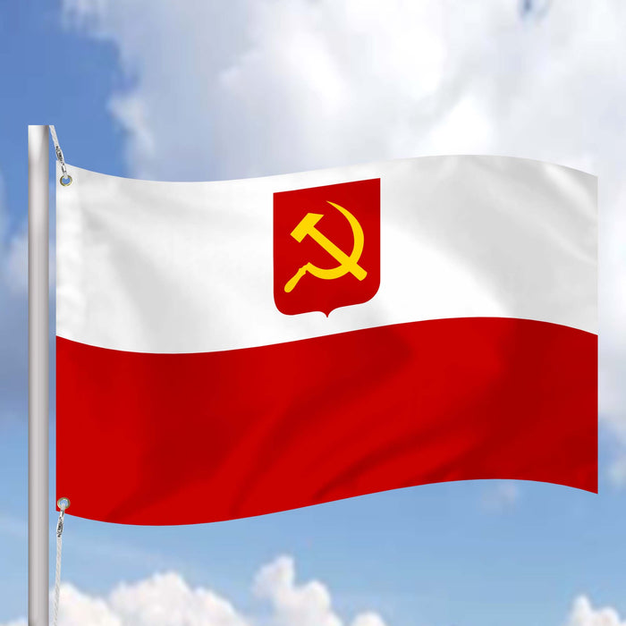 Polish Socialist Party Political Poland Polska Partia Socjalistyczna PPS Flag Banner