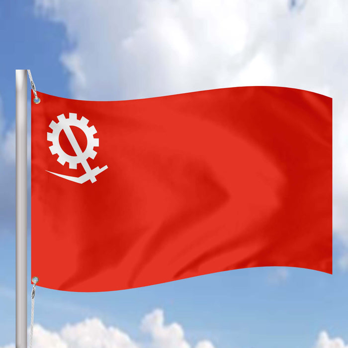 Flag of the Socialist Party India Flag Banner