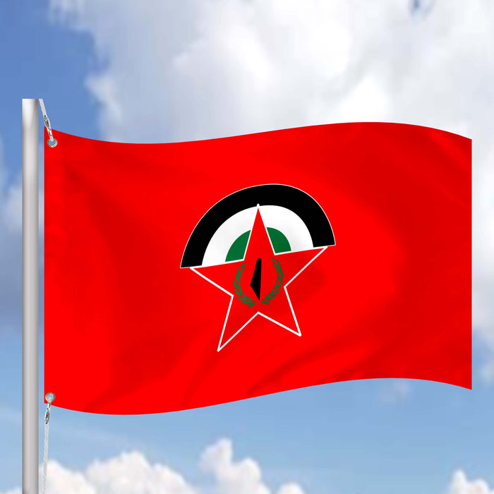 Democratic Front for the Liberation of Palestine Flag Banner